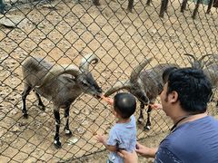 -大连森林动物园