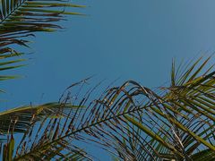 -白沙门生态公园