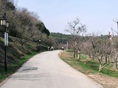 -苏州上方山国家森林公园