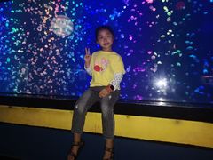 -烟台海昌鲸鲨海洋公园