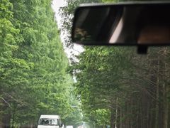 -诗城健民肥肠(颐和家园店)