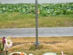-七的湖·晚芳亭·阳澄湖农家菜·大闸蟹(莲花岛店)