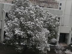 -东南大学(九龙湖校区)