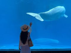 -海合安成都极地海洋公园