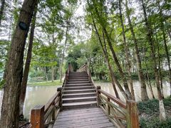 -桤木河湿地公园