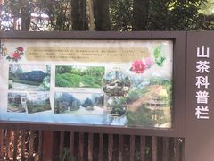 -南山植物园