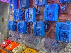 -楠火锅(哈尔滨金爵万象店)