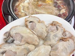 -花苑美食横琴生蚝火锅(拱北粤华路店)