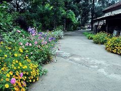-乌龙峡谷景区