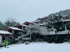 -中国茶叶博物馆(双峰馆区)