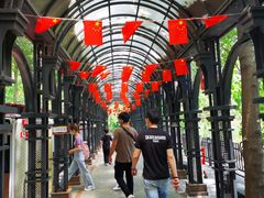 -合肥滨湖国家森林公园