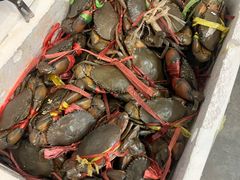 -瑞丽活螃蟹(芒市店)