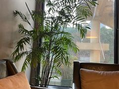 -上岛咖啡(珠园店)