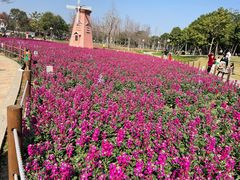 -顺峰山公园