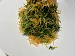巧拌豆苗-四季民福烤鸭店(王府井灯市口店)