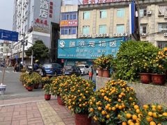 -东莞宠友24H宠物中心医院·转诊夜诊·异宠(新河北路院)