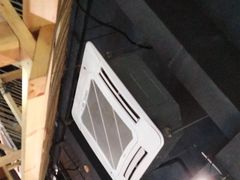 -探窝·竹笙椰子鸡(杨箕店)