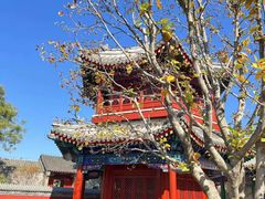 -西海子公园
