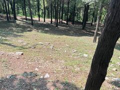 -原山国家森林公园