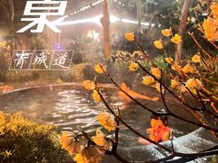 -青城道汤池