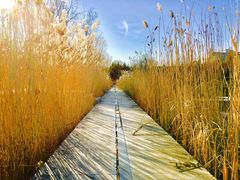 -中关村生命科学园