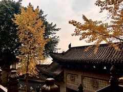 -磁器口古镇
