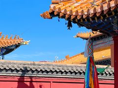 -大召无量寺