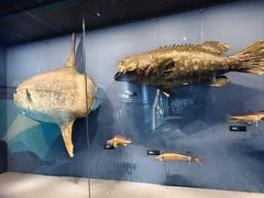 -国家自然博物馆