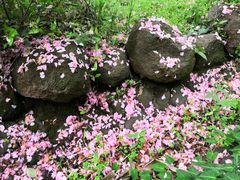 -南京市江宁方山