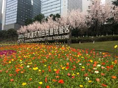 -重庆市江北嘴中央商务区中央公园