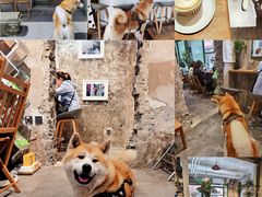 -御林汤泉