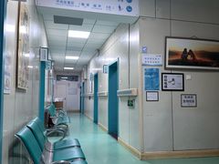 -北京观赏动物医院·24小时大型综合·猫专科·异宠专科