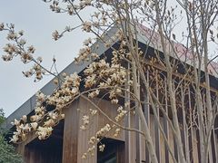 -昆山城市生态森林公园