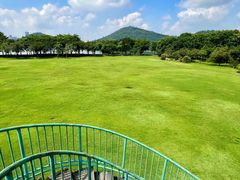 -顺峰山公园