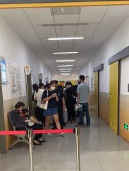 -上海交通大学医学院附属上海儿童医学中心(陆家嘴总院区)