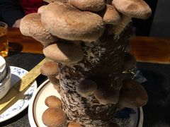 -先机®·泉水鸡汤(七星岗店)