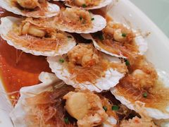 扇贝-白金汉爵大酒店·中餐厅(相城店)