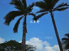 -三亚太阳湾柏悦酒店