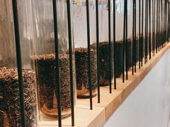 -喜茶(佛山岭南站店)
