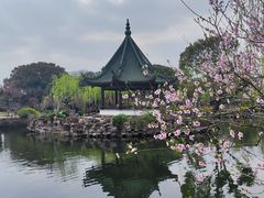 -无锡蠡湖国家湿地公园-蠡园