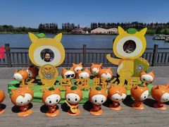 -上海长兴岛郊野公园