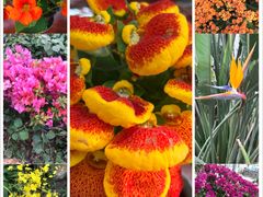 -南通洲际绿博园