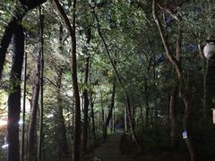 -九曜山