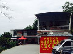 -天强农家菜馆
