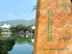 -帐篷客·溪龙茶谷度假酒店