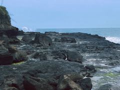 -漳州滨海火山岛自然生态风景区
