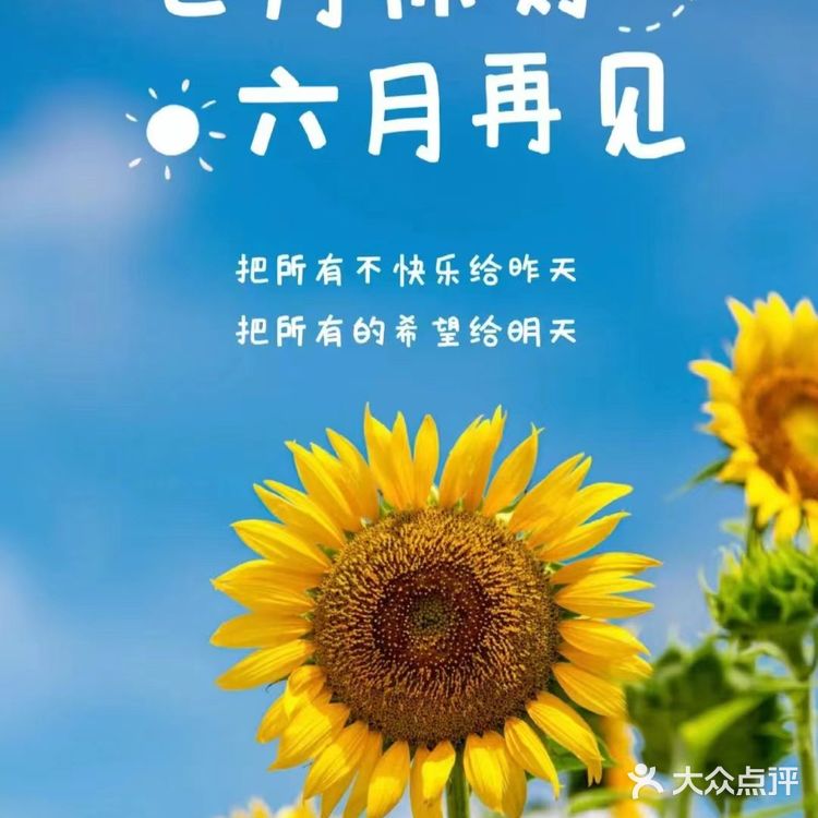 中午美食打卡：港式早茶
