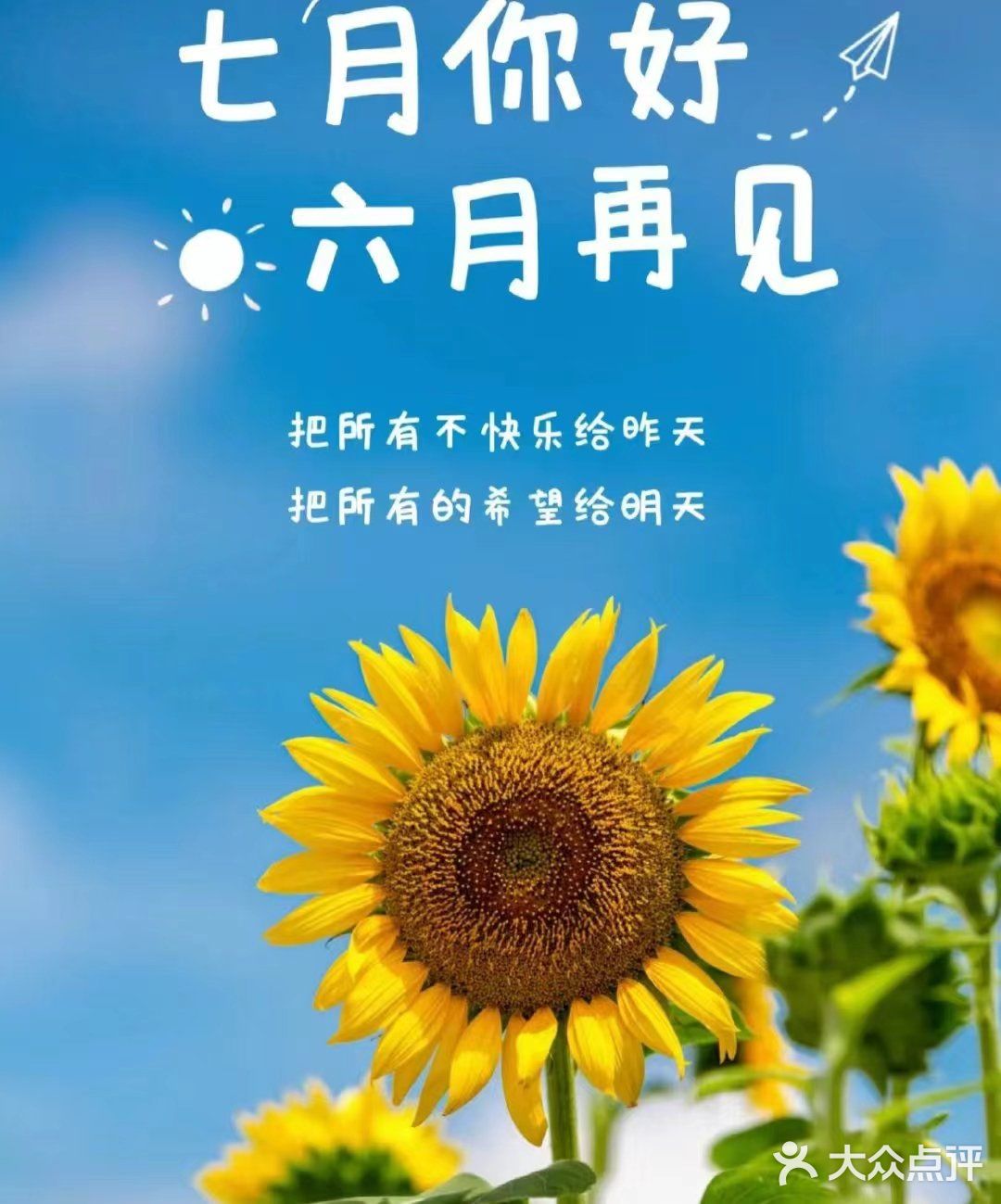 中午美食打卡：港式早茶