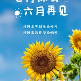 中午美食打卡：港式早茶