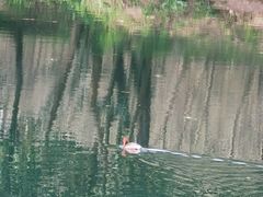 -贵阳市花溪国家城市湿地公园